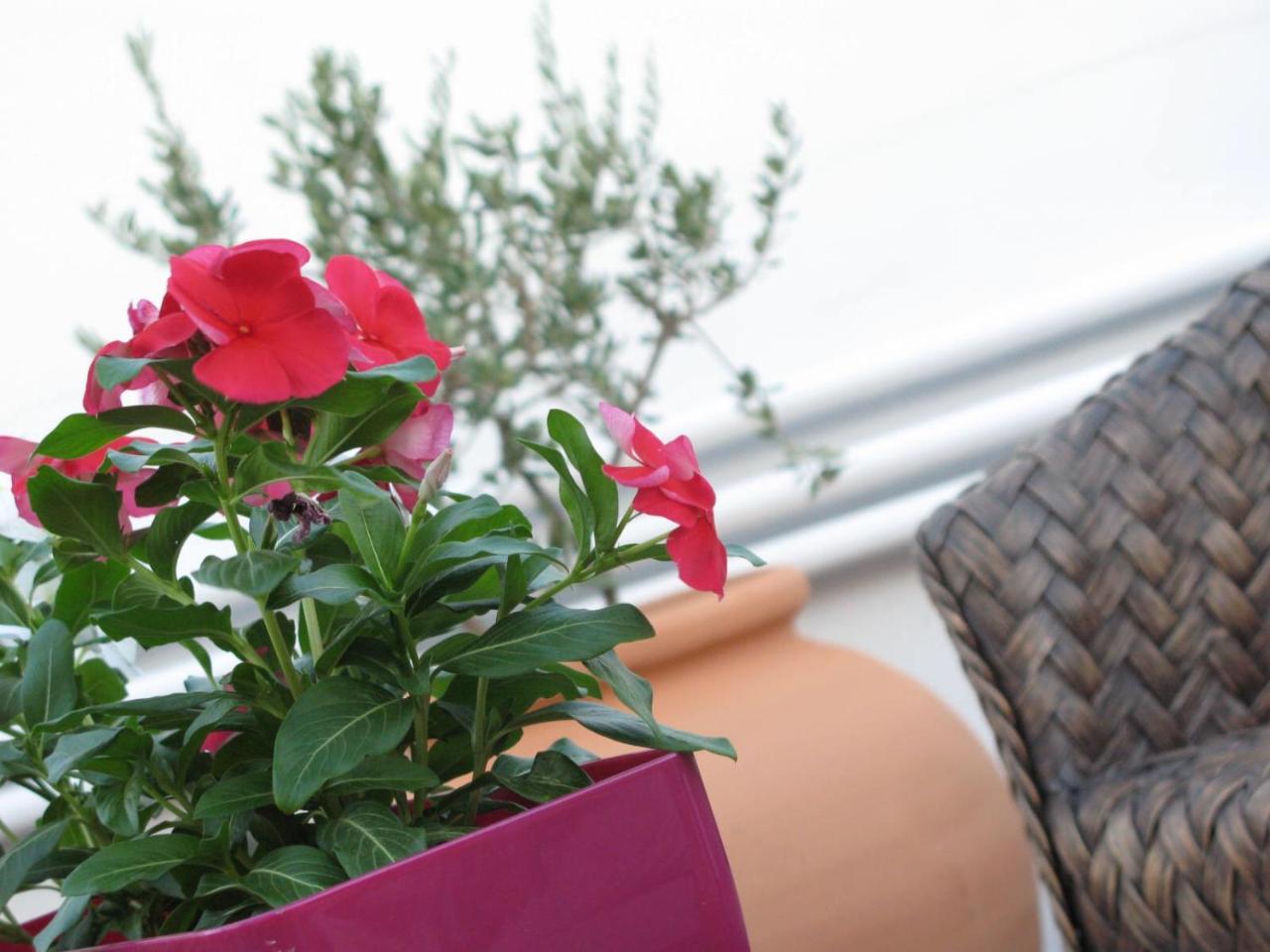 Mama Suite Lecce Exterior foto